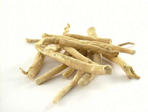 ashwagandha benefits